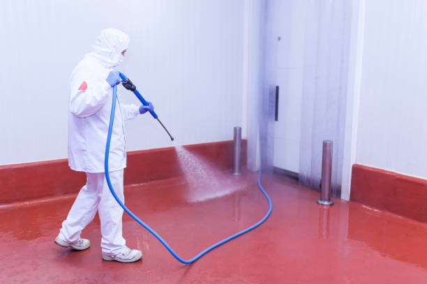 Best Soft Washing  in Yucos, CA